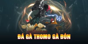 đá gà đòn Thomo