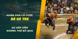 Đá gà tre Vin777 hấp dẫn nhất thị trường đá gà